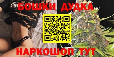 мдпв Кингисепп
