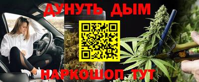 мдпв Кингисепп