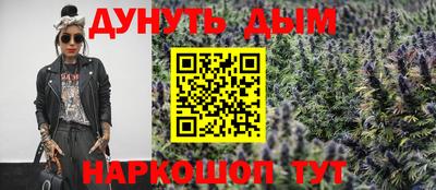 мдпв Кингисепп