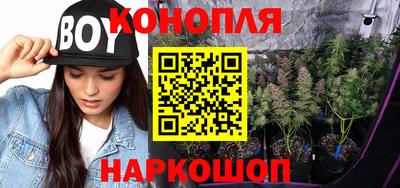 мдпв Кингисепп