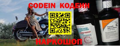 мдпв Кингисепп