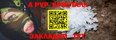 мдпв Кингисепп