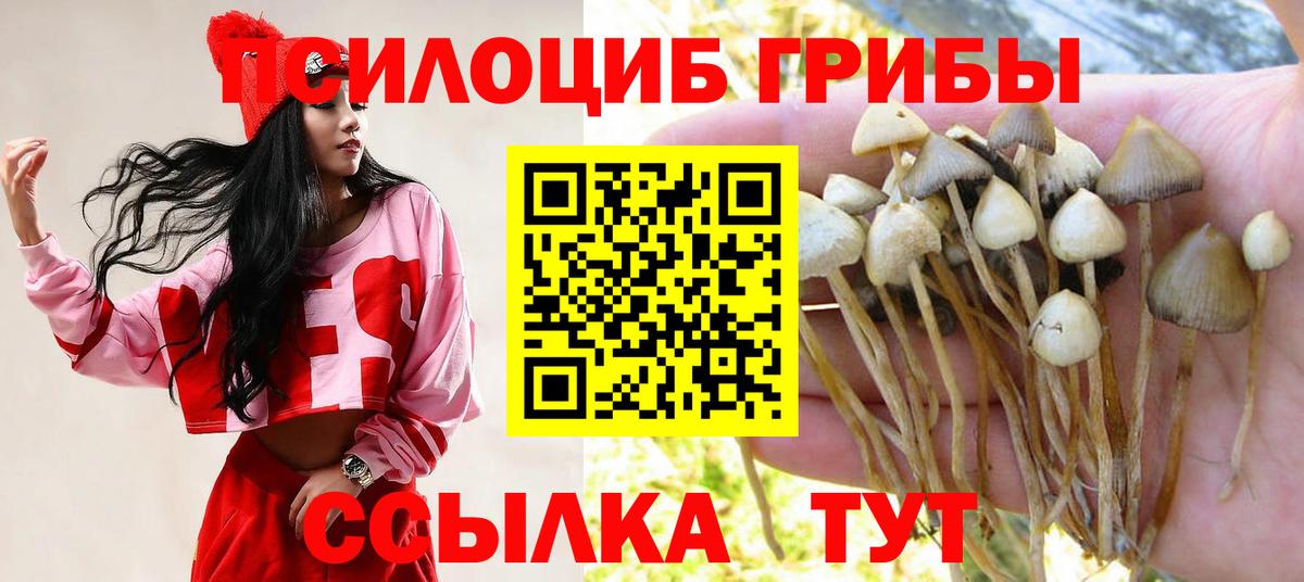 Галлюциногенные грибы мухоморы  Вход с VPN  Чапаевск 