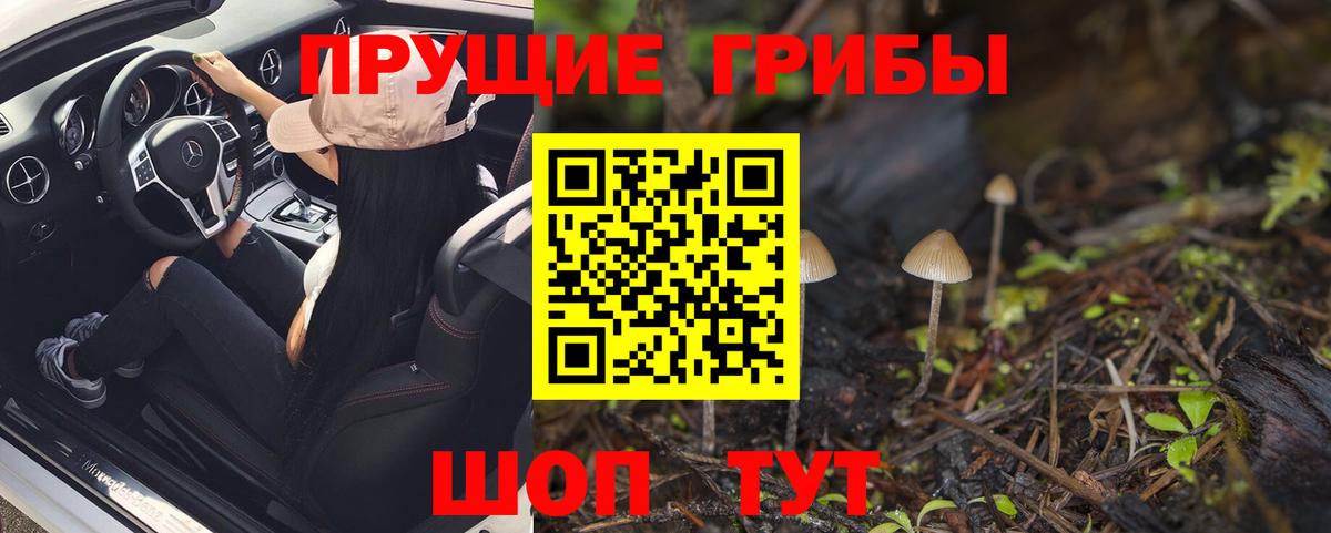Псилоцибиновые грибы ЛСД Чапаевск